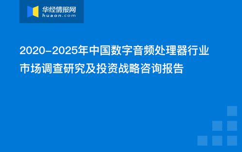 中國數(shù)字音頻處理器行業(yè)市場調(diào)查研究及投資戰(zhàn)略咨詢報告