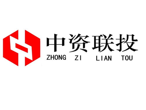 武漢市中資聯投投資咨詢 專業投資智慧引領區域發展新動能